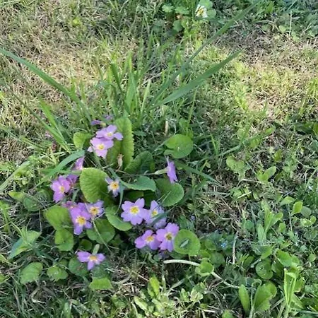 Maison Splendide Avec Piscine 度假居 *