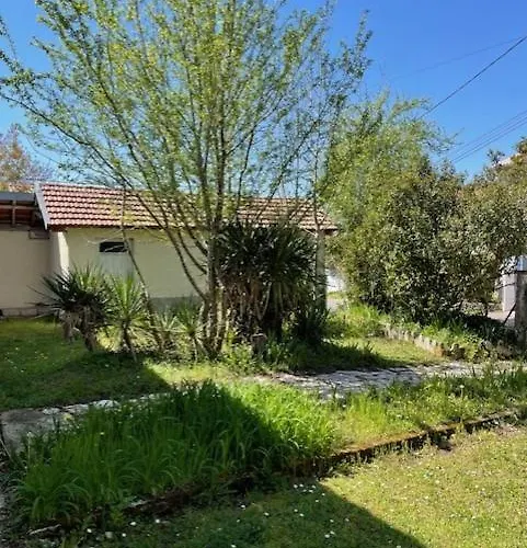 Maison Splendide Avec Piscine Ribérac