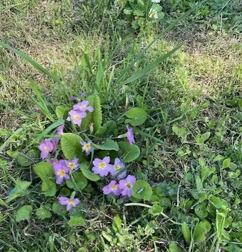 Maison Splendide Avec Piscine Сasa de vacaciones *